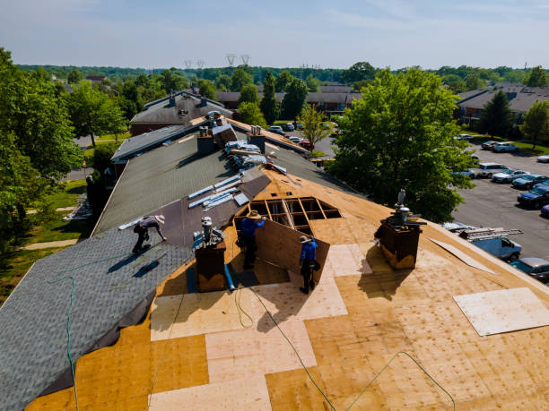 Best Roof Restoration Services  in Union Hall, VA